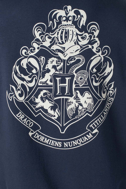  POLERON DE HARRY POTTER CERRADO MULTICOLOR PARA HOMBRE