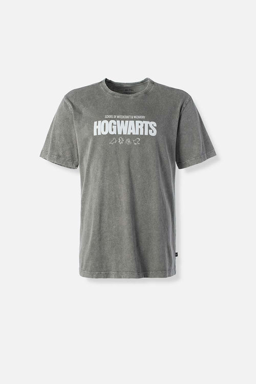 Card slide image -  POLERA DE HARRY POTTER GRIS REGULAR FIT PARA HOMBRE