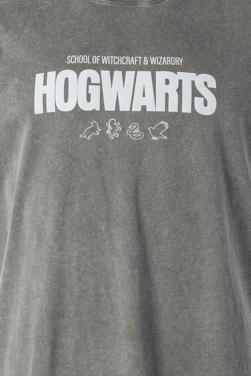 Card slide image -  POLERA DE HARRY POTTER GRIS REGULAR FIT PARA HOMBRE