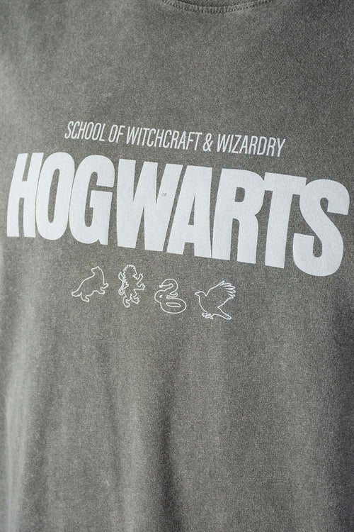 Card slide image -  POLERA DE HARRY POTTER GRIS REGULAR FIT PARA HOMBRE